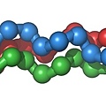 Collagentriplehelix.jpg