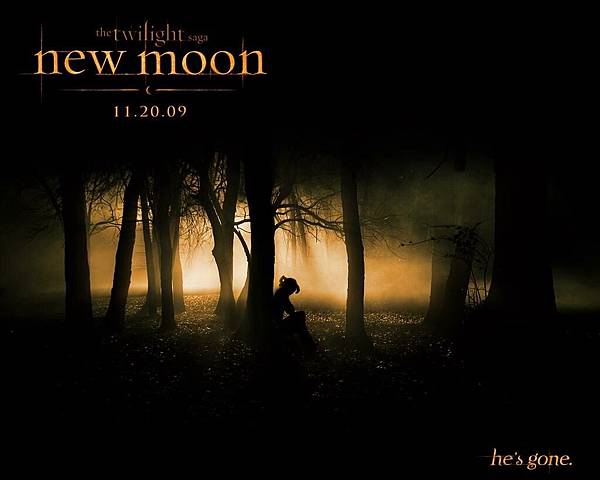 new moon-Bella-20(fanmade).jpg