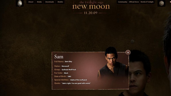 New Moon  Stills-cats-10-Sam.JPG