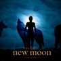 new moon-wolf-2 (fanmade).jpg