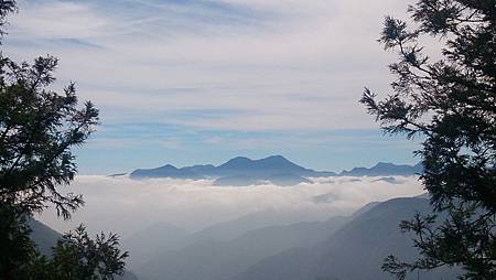 太平山台灣山毛櫸國家步道