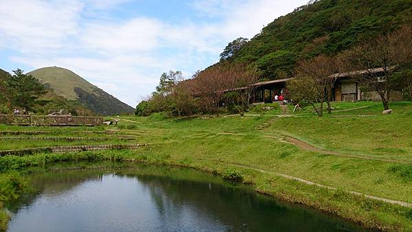 二子坪大屯自然公園櫻花開.陽明山秘境咖啡館--山上聊