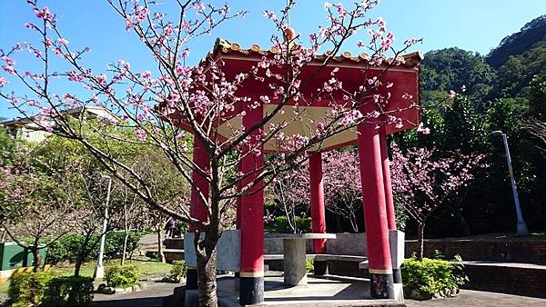 新店賞櫻行:花園新城.屈尺公園.燕子湖.La Villa W