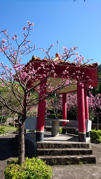 新店賞櫻行:花園新城.屈尺公園.燕子湖.La Villa W