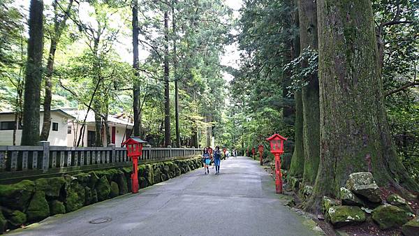 關東之旅--箱根神社.蘆之湖海賊船.三島大吊橋