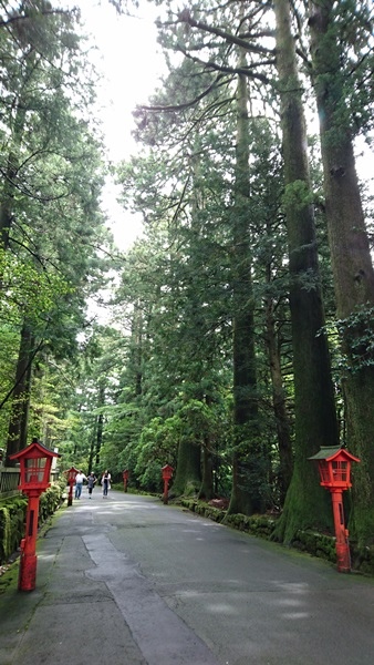 關東之旅--箱根神社.蘆之湖海賊船.三島大吊橋