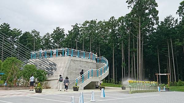 關東之旅--箱根神社.蘆之湖海賊船.三島大吊橋