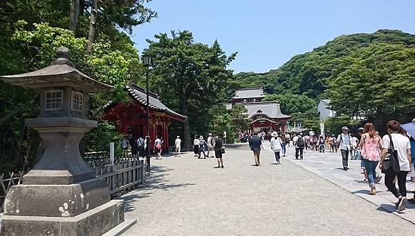 關東之旅--伊豆淨蓮瀑布.古都鎌倉:高德院.鶴岡八幡宮.小町