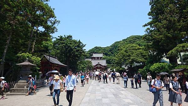 關東之旅--伊豆淨蓮瀑布.古都鎌倉:高德院.鶴岡八幡宮.小町