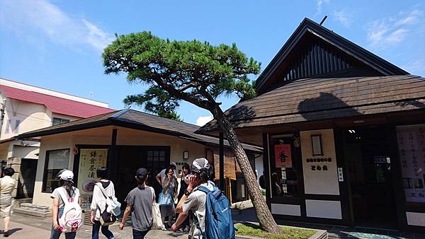 關東之旅--伊豆淨蓮瀑布.古都鎌倉:高德院.鶴岡八幡宮.小町