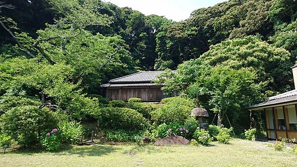 關東之旅--伊豆淨蓮瀑布.古都鎌倉:高德院.鶴岡八幡宮.小町