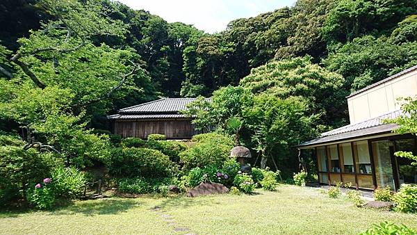 關東之旅--伊豆淨蓮瀑布.古都鎌倉:高德院.鶴岡八幡宮.小町