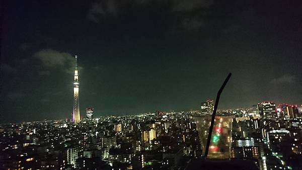 關東之旅—東京.羽田機場紫陽花展