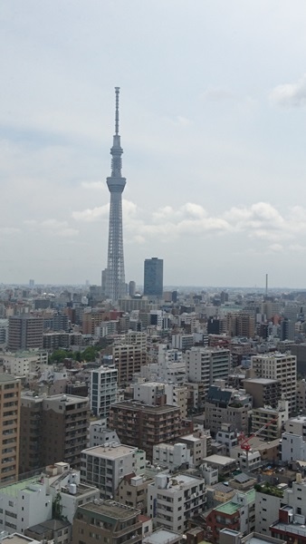 關東之旅—東京.羽田機場紫陽花展