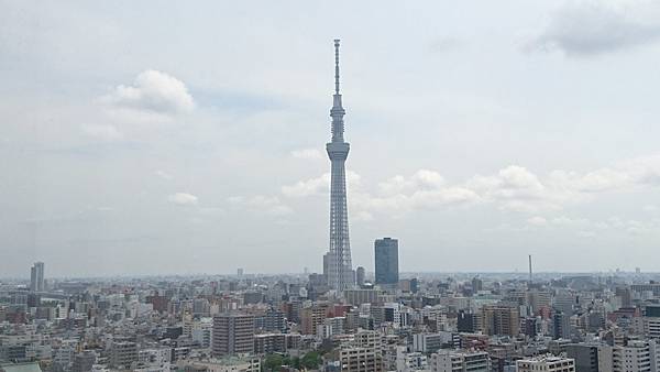 關東之旅—東京.羽田機場紫陽花展