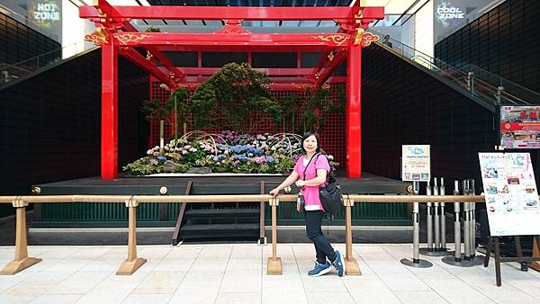 關東之旅—東京.羽田機場紫陽花展