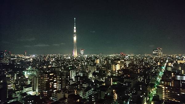 關東之旅—東京.羽田機場紫陽花展