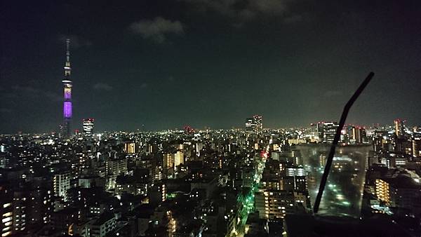 關東之旅—東京.羽田機場紫陽花展