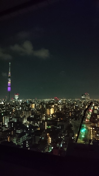 關東之旅—東京.羽田機場紫陽花展