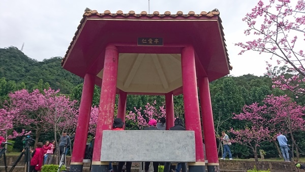 新店賞櫻行:花園新城.屈尺公園.燕子湖.La Villa W