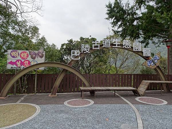 中巴陵櫻木花道.巴陵古道生態園區.巴陵舊橋