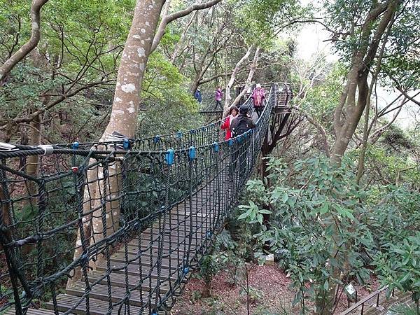 中巴陵櫻木花道.巴陵古道生態園區.巴陵舊橋