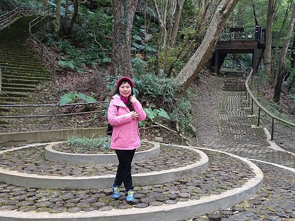 中巴陵櫻木花道.巴陵古道生態園區.巴陵舊橋