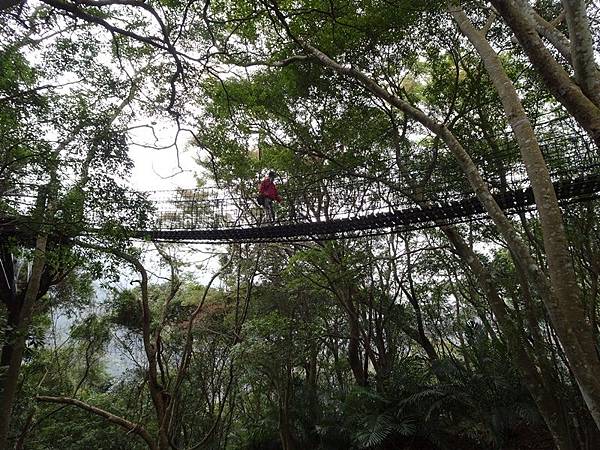 中巴陵櫻木花道.巴陵古道生態園區.巴陵舊橋