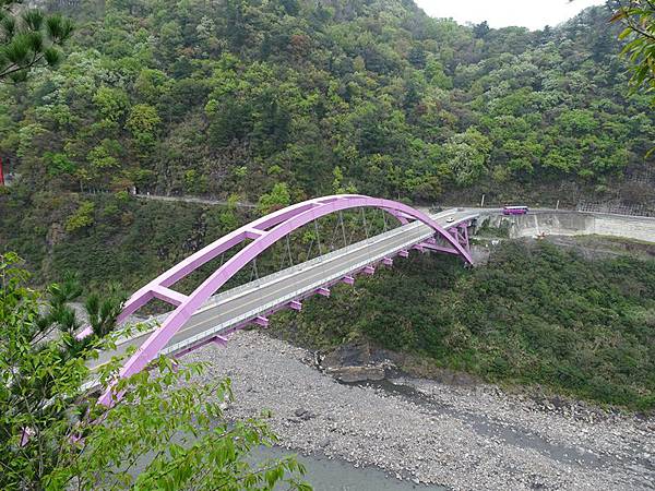 中巴陵櫻木花道.巴陵古道生態園區.巴陵舊橋