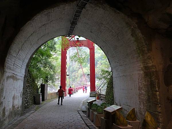 中巴陵櫻木花道.巴陵古道生態園區.巴陵舊橋