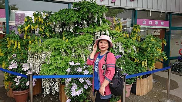 足利花卉公園藤花物語