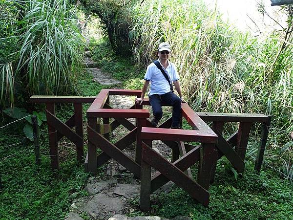 風擎步道(風櫃嘴--擎天崗)賞秋芒