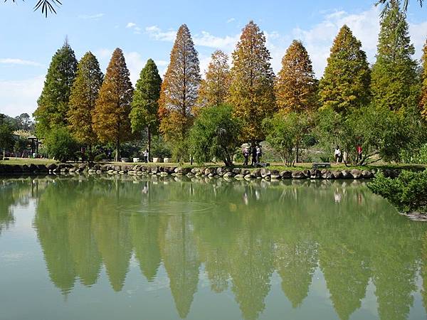 六塘休閒谷落羽松賞景.心鮮森林莊園慢遊