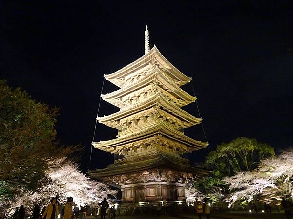 京都賞櫻行:醍醐寺.京都御苑.東寺夜櫻