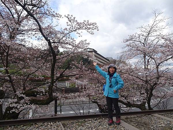 京都賞櫻行:蹴上鐵道.南禪寺.哲學之道