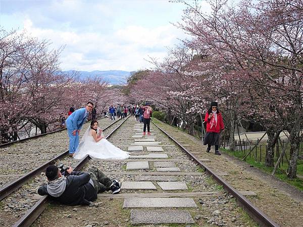 京都賞櫻行:蹴上鐵道.南禪寺.哲學之道