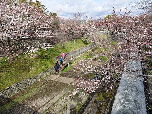 京都賞櫻行:蹴上鐵道.南禪寺.哲學之道