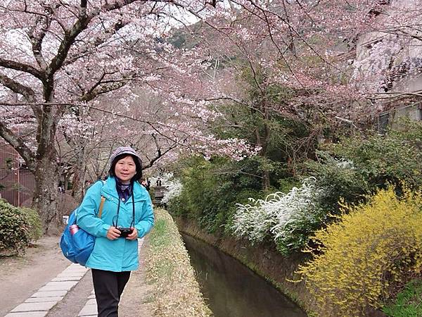 京都賞櫻行:蹴上鐵道.南禪寺.哲學之道