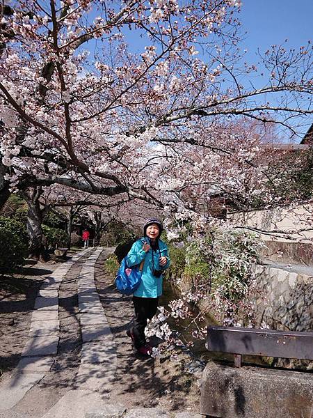 京都賞櫻行:蹴上鐵道.南禪寺.哲學之道