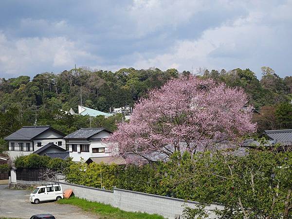 京都賞櫻行:蹴上鐵道.南禪寺.哲學之道