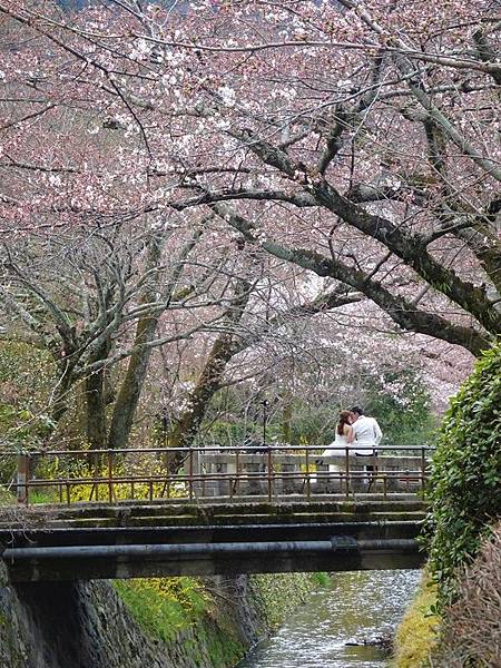 京都賞櫻行:蹴上鐵道.南禪寺.哲學之道