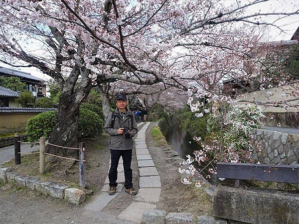 京都賞櫻行:蹴上鐵道.南禪寺.哲學之道