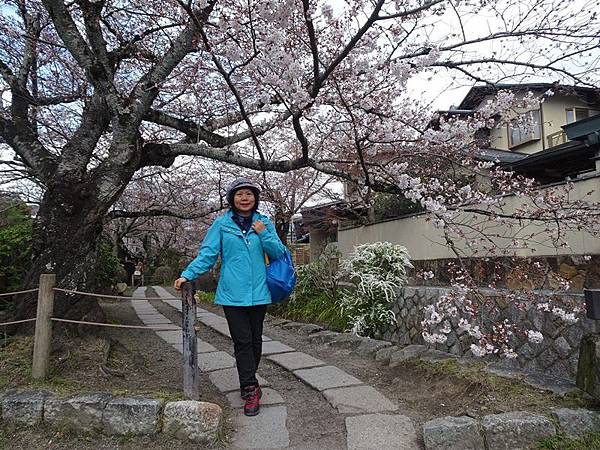 京都賞櫻行:蹴上鐵道.南禪寺.哲學之道