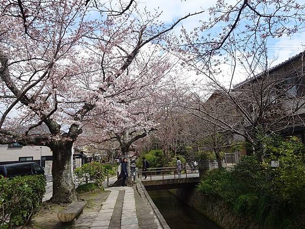 京都賞櫻行:蹴上鐵道.南禪寺.哲學之道