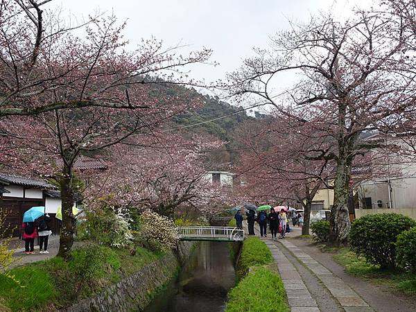 京都賞櫻行:蹴上鐵道.南禪寺.哲學之道