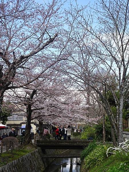 京都賞櫻行:蹴上鐵道.南禪寺.哲學之道