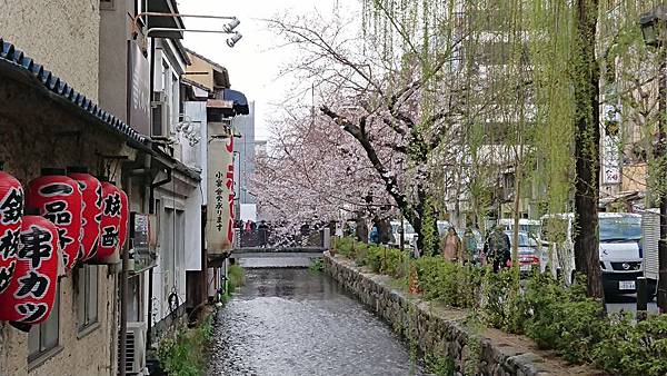 京都賞櫻行:鴨川尋花蹤.高瀨川櫻滿開