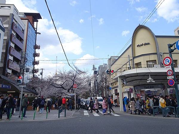 京都賞櫻行:鴨川尋花蹤.高瀨川櫻滿開