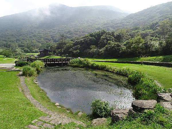 二子坪大屯自然公園櫻花開.陽明山秘境咖啡館--山上聊