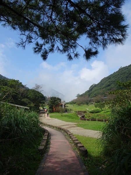 二子坪大屯自然公園櫻花開.陽明山秘境咖啡館--山上聊